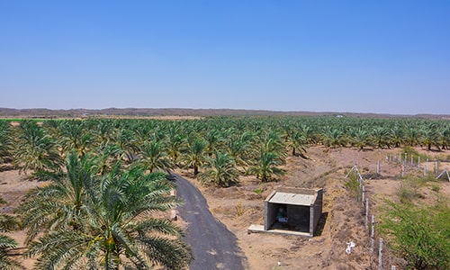 Gorasiya Farm